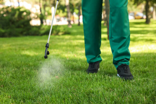 Best Cockroach Control Services  in Osgood, IN