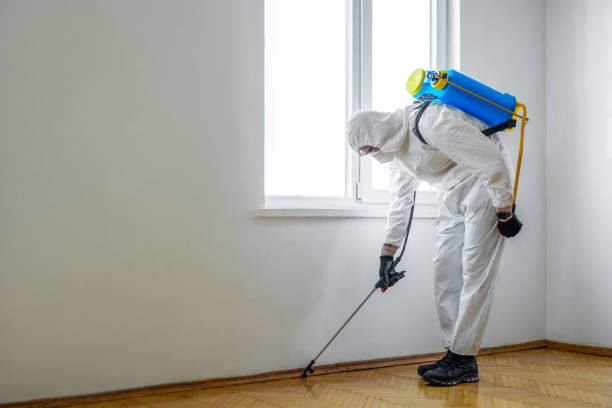 Best Pest Inspection Near Me  in Osgood, IN