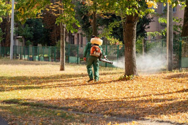 Best Emergency Pest Control  in Osgood, IN