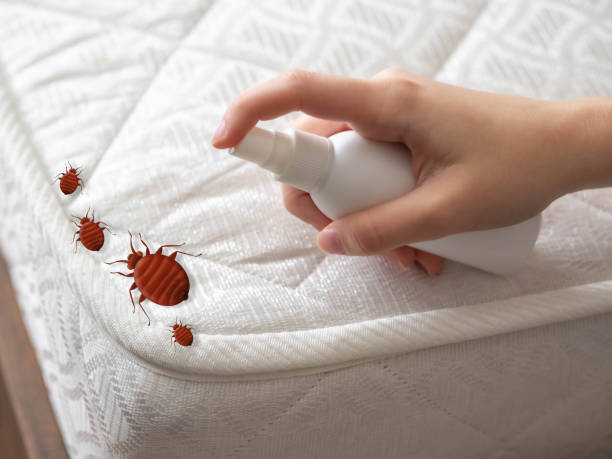 Best Pest Control Near Me  in Osgood, IN