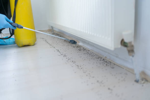 Best Ant Control Services  in Osgood, IN